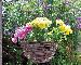 GARAGES AND CARPORTS - Hanging baskets and planters