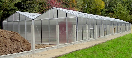 A large commercial greenhouse at Norwich City College A large commercial greenhouse at Norwich City College