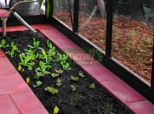 Paving Slab Bases for Greenhouses - Supplied and Built